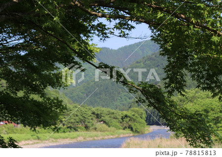 かやぶきの里 美山 皐月 【京都府】 かやぶきの里 美山 皐月 【京都府】 78815813