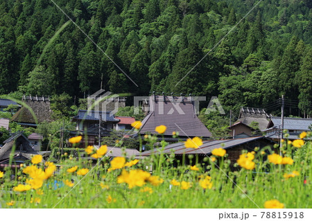 美山 かやぶきの里 新緑と古民家 【京都府】 美山 かやぶきの里 新緑と古民家 【京都府】 78815918