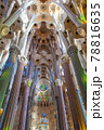 サグラダ・ファミリア 78816635
