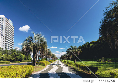 (千葉県ー都市風景)海浜大通り沿いの風景6 78816756