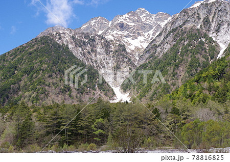 上高地から見た北アルプス（穂高岳、穂高連峰）新緑の5月　撮影場所：徳沢から横尾（長野県、上高地） 78816825