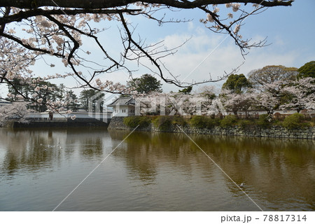 小田原城 78817314