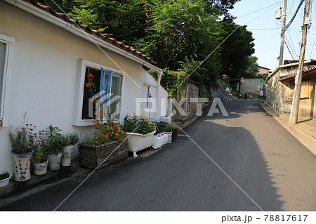 住宅 葵 植物 78817617