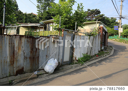 住宅 葵 植物 78817660