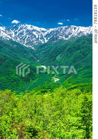 《長野県》北アルプスの山岳風景・新緑シーズン 《長野県》北アルプスの山岳風景・新緑シーズン 78818139