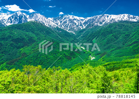 《長野県》北アルプスの山岳風景・新緑シーズン 78818145