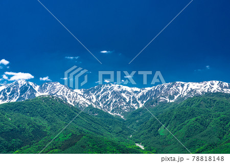 《長野県》北アルプスの山岳風景・新緑シーズン 78818148