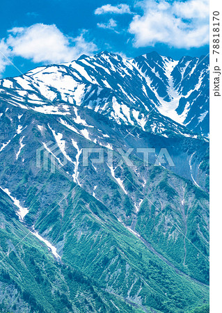 《長野県》北アルプスの山岳風景・新緑シーズン 78818170