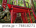 神社巡り 78818271