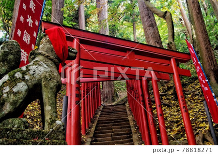 神社巡り 神社巡り 78818271
