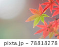 紅葉 78818278
