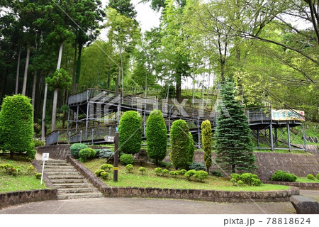 神奈川県立あいかわ公園　入口広場の冒険の森入口 78818624