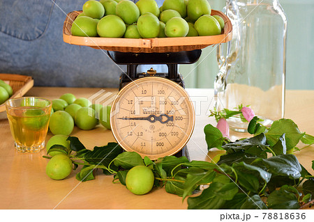 ウメシュとウメシュ作り計量中 78818636