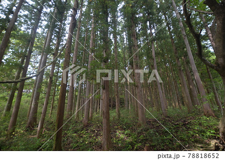 那須塩原の山奥にある綺麗な風景 那須塩原の山奥にある綺麗な風景 78818652