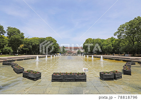 上野恩賜公園の噴水広場 78818796