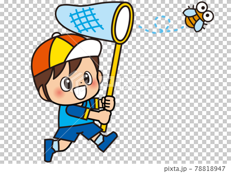 insect catching 78818947