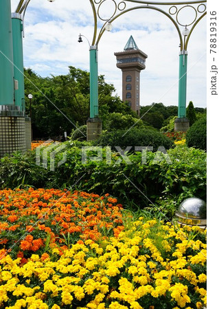神奈川県の市立相模原麻溝公園 78819316