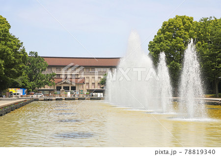 上野恩賜公園の噴水広場 上野恩賜公園の噴水広場 78819340