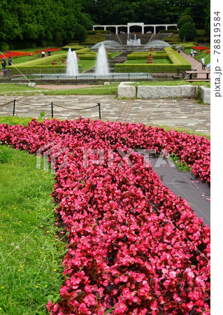 神奈川県の県立相模原公園 78819584