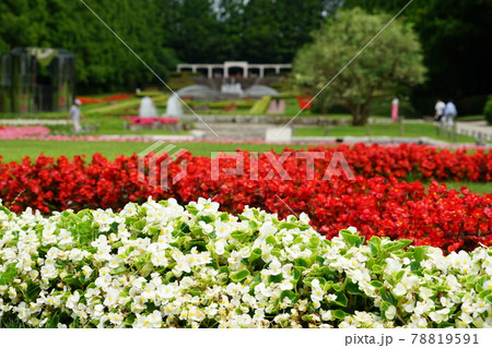 神奈川県の県立相模原公園 78819591