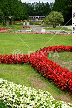 神奈川県の県立相模原公園 78819592