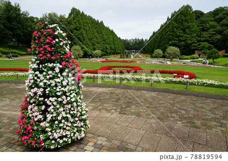 神奈川県の県立相模原公園 78819594