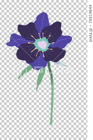 Fashionable and pop purple flowers 78819644