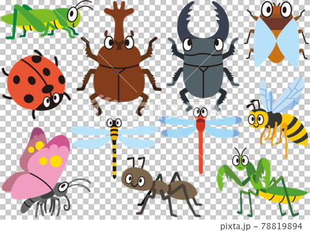 Insect series 78819894