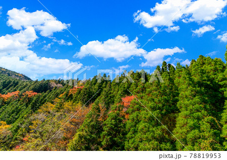 日本の絶景紅葉風景 五家荘の紅葉風景 「秘境・平家の里・梅の木轟公園」 (日本2020年秋撮影) 78819953