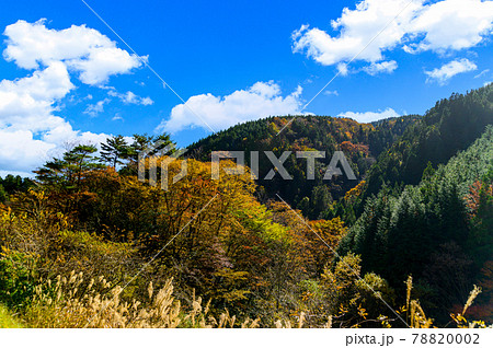 日本の絶景紅葉風景 五家荘の紅葉風景 「秘境・平家の里・梅の木轟公園」 (日本2020年秋撮影) 78820002