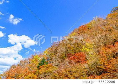 日本の絶景紅葉風景 五家荘の紅葉風景 「秘境・平家の里・梅の木轟公園」 (日本2020年秋撮影) 78820006