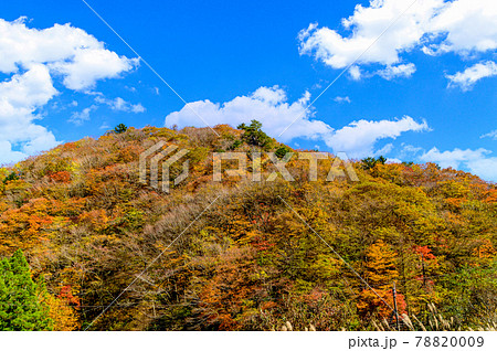 日本の絶景紅葉風景 五家荘の紅葉風景 「秘境・平家の里・梅の木轟公園」 (日本2020年秋撮影) 78820009