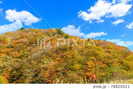 日本の絶景紅葉風景 五家荘の紅葉風景 「秘境・平家の里・梅の木轟公園」 (日本2020年秋撮影) 78820011