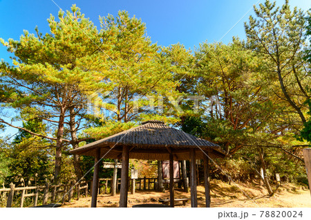 さわやか自然(秋・紅葉)日本の秘境紅葉風景「五家荘」日本2020年撮影(九州・熊本県八代市泉町) 78820024