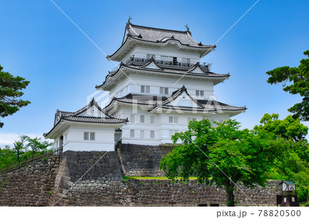 神奈川県　小田原城　天守 78820500