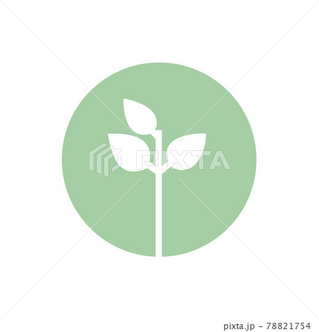 Seedling icon. Green growing tree on white 78821754