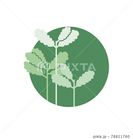 Seedling icon. Green growing tree on white 78821760