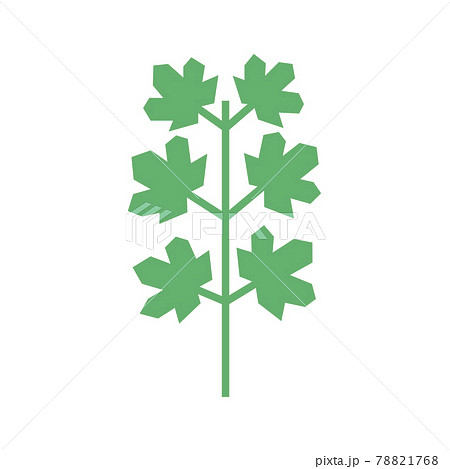 Seedling icon. Green growing tree on white 78821768