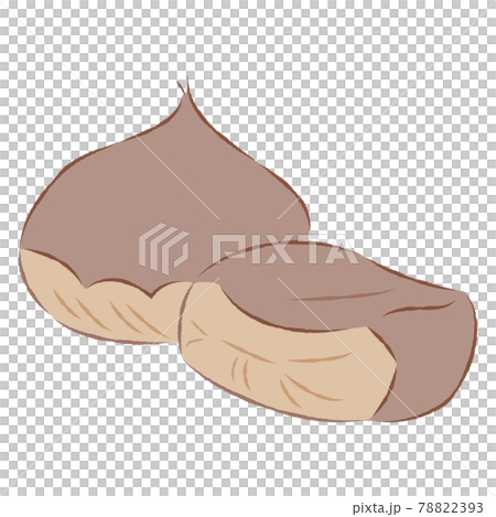 栗子的例證 78822393