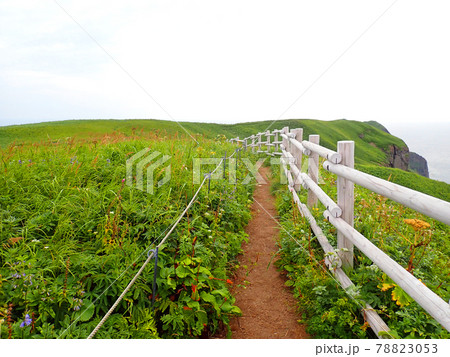 北海道　礼文島　桃岩展望台コース 78823053