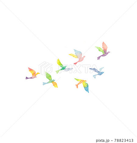 虹色の鳥の群れ 78823413