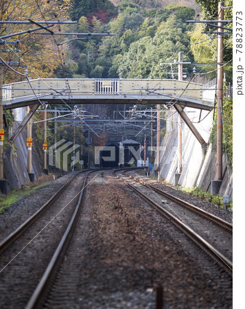 嵯峨野トロッコ列車と山陽本線の分岐トンネル 78823773