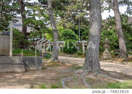 あじさい神苑で有名な兵庫県明石市の東播磨にある住吉神社 78823810