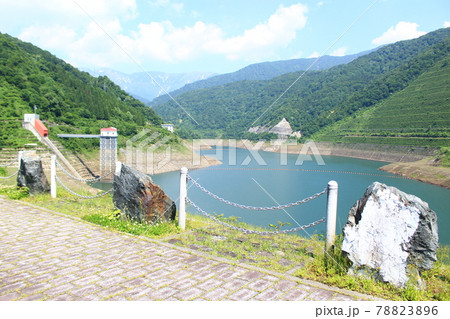 新緑の三国川ダムしゃくなげ湖 新緑の三国川ダムしゃくなげ湖 78823896