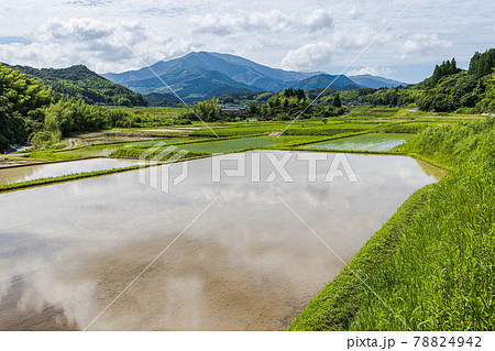 紫尾山と水田 紫尾山と水田 78824942