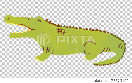 おしゃれなワニのイラスト おしゃれなワニのイラスト 78825103