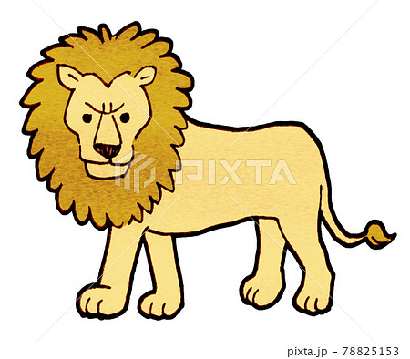 Lion Illustration Stock Illustration