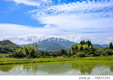 紫尾山と水田 紫尾山と水田 78825263