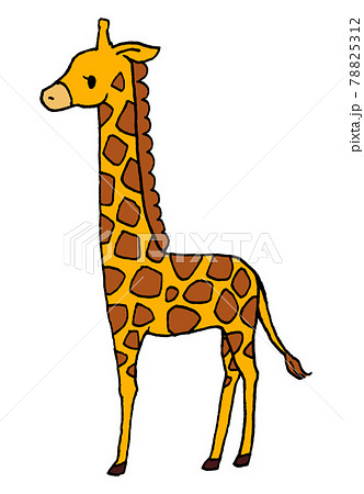 Cute Giraffe Illustration Stock Illustration