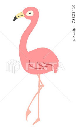 Fashionable Flamingo Illustration Stock Illustration